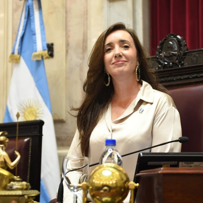 villarruel politica vice